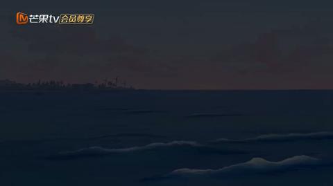 20260228陪看记