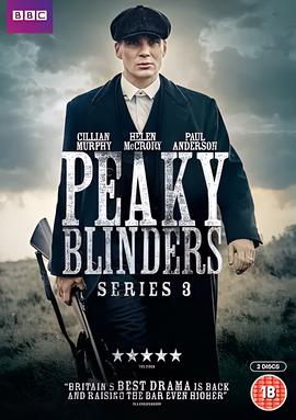 浴血黑帮 第三季