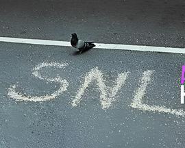 周六夜现场：布拉德皮特/麦莉塞勒斯