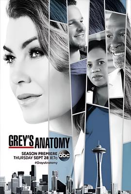 实习医生格蕾 第十四季