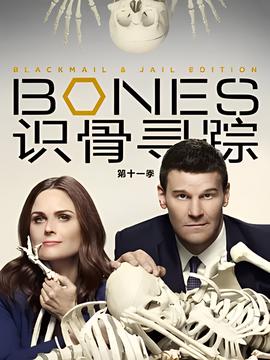 识骨寻踪 第十一季