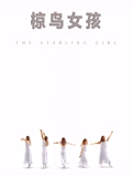 椋鸟女孩