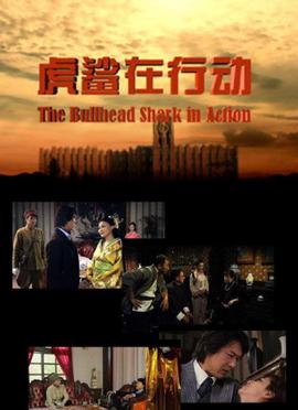 虎鲨在行动