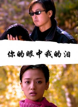 你的眼中我的泪