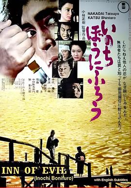 在我冒险的日子