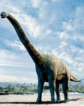 恐龙革命（精编版）