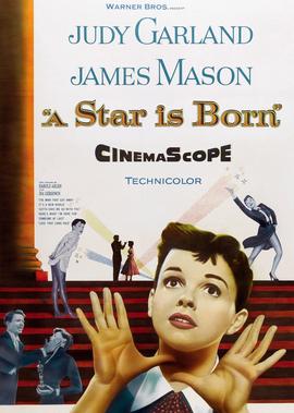 一个明星的诞生