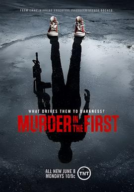 谜案追凶 第二季