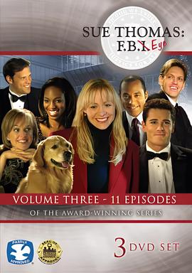 慧眼女特工 第三季