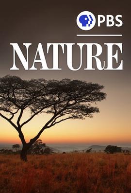 自然 第四十二季