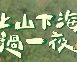 上山下海过一夜