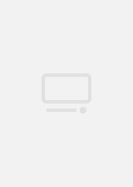 一个姑爷半个儿2