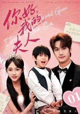 顾总，我才是你的夫人（你好，我的夫人）